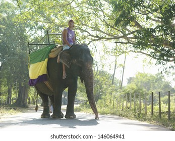 Low angle view of a young man riding on elephant with trees in background