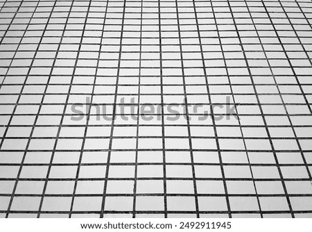 Similar – Image, Stock Photo Feet on tiles. Wellness