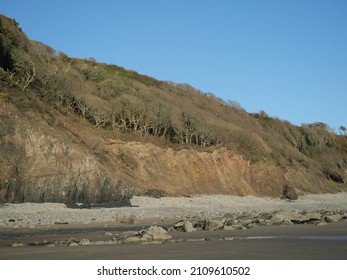 Low cliffs with small windswept trees on the hillside above at the beautiful and remote Telpyn beach near Amroth, Pembrokeshire, Wales, UK.