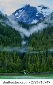 Low clouds drift through a dense evergreen forest beneath a rugged snow-capped mountain, creating a dramatic wilderness landscape. The combination of alpine terrain, mist, and towering conifers captures the beauty and remoteness of an untouched natural environment.
