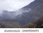 Low clouds on the Rhine River