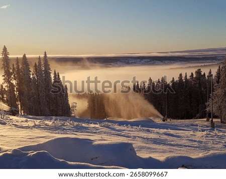 Low clouds seen from skislope