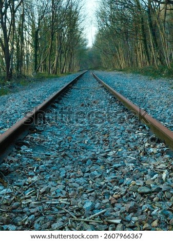 Low down angle of an un-used train track through the woods.