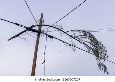 Low down view of tree branch caught in overhead electricity cables as severe storm creates major disruption and risk to life warning. With copy space. - Shutterstock ID 2165807237