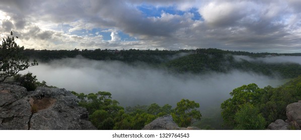 Low Fog/misty Morning In Valley In Sutherland Shire, NSW Australia