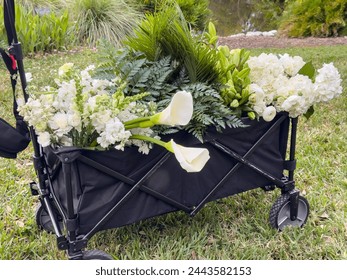 Low four-wheeled cart full of bright white roses and other flowers, with foliage fronds, for a stylist or photographer to arrange for wedding shots at a spring garden event in southwest Florida - Powered by Shutterstock