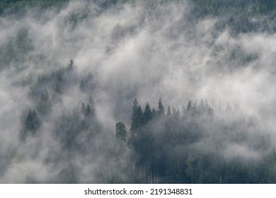 Low Hanging Clouds And Fog In The Mountains At A Summer Day