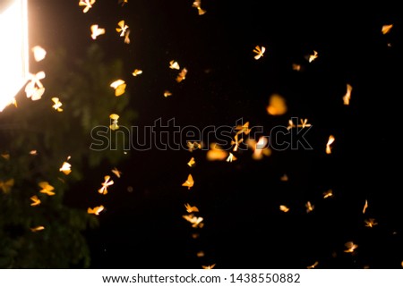Low key image and blur to highlight the lights in the night long and flying animation play light around the fire of Termite Flying or alates after rain in the rainy season.