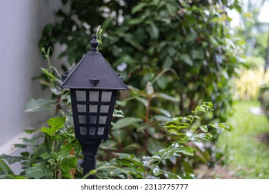 Low level pole light in the backyard garden