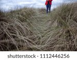 Low in the marsh 