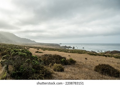 Low Open Pasture Along California Coast In Big Sur