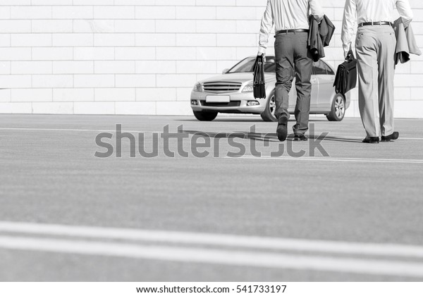 Low section of businessmen carrying\
briefcases while walking towards car on\
street