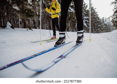 Low section and close-up of skiers doing croos country skiing in the middle of forest.