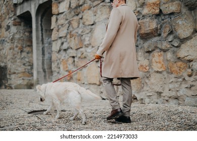 Low Section Of Elegant Senior Man Walking His Dog Outdoors In City.