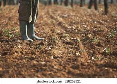 Low Section Of Farmer Standing On Fertile Soil In Farm