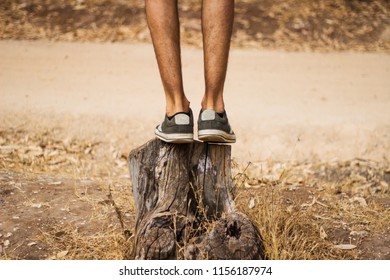 low section of a man standing On Tree Trunk In Forest
