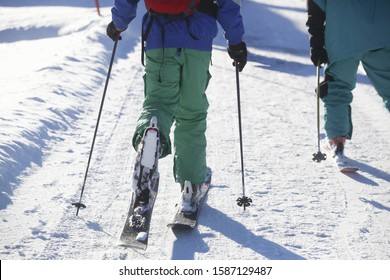 Low Section Of Skiers Cross Country Skiing