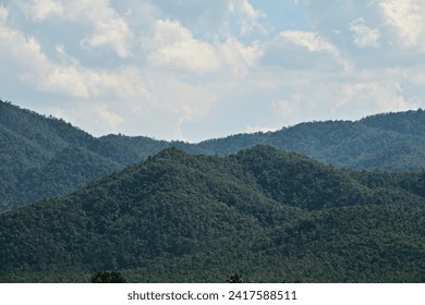 low steep mountain range full of the trees on bright sky with fluffy clouds