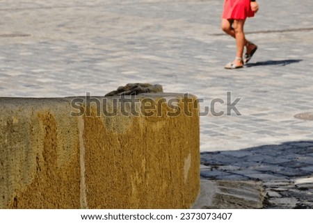 low stone bumper guard wall. street with cobblestone road pavement. girl walking by in red dress in the soft blurred background. summer scene. European scene. old architecture. travel, sightseeing.