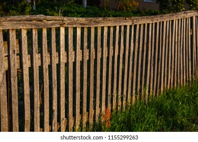 low sunshine on a wooden fence and grass
