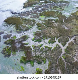 低湿地图片 库存照片和矢量图 Shutterstock