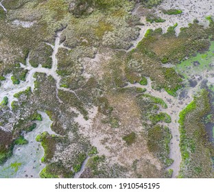 低湿地图片 库存照片和矢量图 Shutterstock