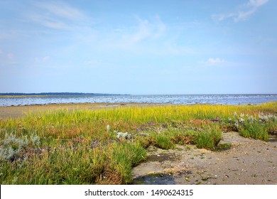 
Low Tide Area In Randers Fjord Nature Park