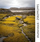 Low tide at Badnabay on the shore of Loch Laxford and at the NC500 in north-west Scotland.