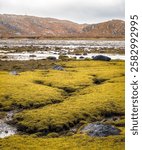 Low tide at Badnabay on the shore of Loch Laxford and at the NC500 in north-west Scotland.