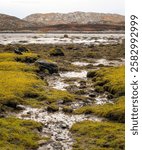 Low tide at Badnabay on the shore of Loch Laxford and at the NC500 in north-west Scotland.