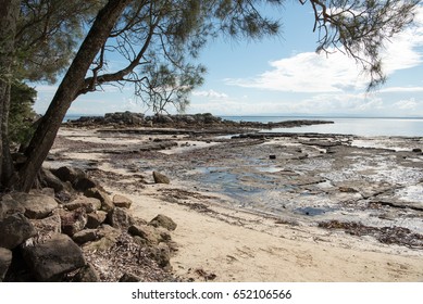 Low tide at the beach