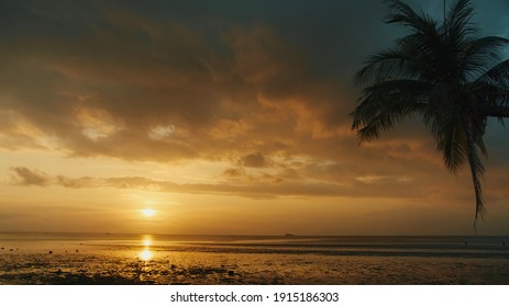 Low tide beach sunset view with palm tree - Powered by Shutterstock