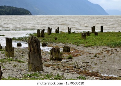 Low Tide In Dyea Alaska