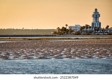 Low tide in the lagoon with many gulls in front of the lighthouse of Isla Cristina, Costa de la Luz, Andalusia, Spain - Powered by Shutterstock