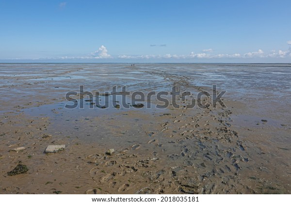 Low tide on the ocean coast in Brittany, France French\
Atlantic coast, .