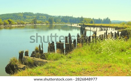 Low tide panoramic view of the remnants of a once-thriving fishing and timber shipping dockyard on a tidal inlet.