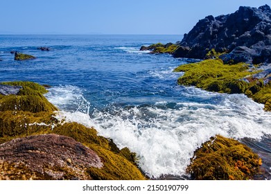 At low tide, the sea reveals a collage of texture and color. This area of the Cape Manazuru shoreline reveals formidable volcanic rocks capped with jagged edges and underpinned with soft, flowing stem - Shutterstock ID 2150190799