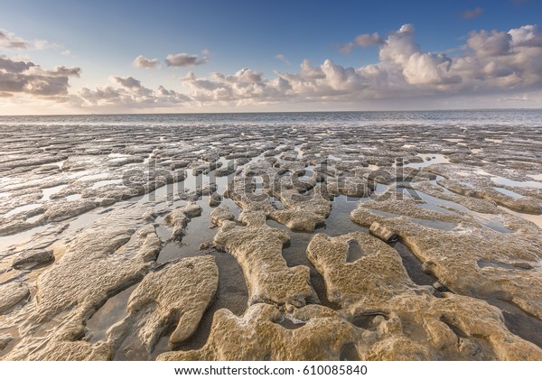 Low Tide Wadden Sea Netherlands Stock Photo 610085840 | Shutterstock