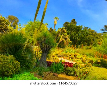 Low Water Gardens Desert