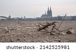 Low water of the Rhine river in Cologne, drought in Germany