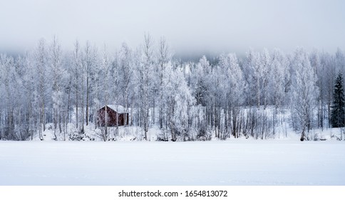 Low winter cliuds above forest edge at frozen river, small red wooden house in typical Northern Sweden landscape - birch tree covered by hoarfrost - very cold day, Lappland, Sweden