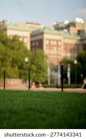 Lowangle Close Grass With Blurred Foreground And New York Campus Buildings Beyond, new york