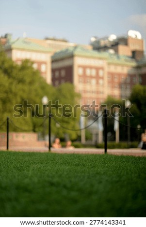Lowangle Close Grass With Blurred Foreground And New York Campus Buildings Beyond, new york