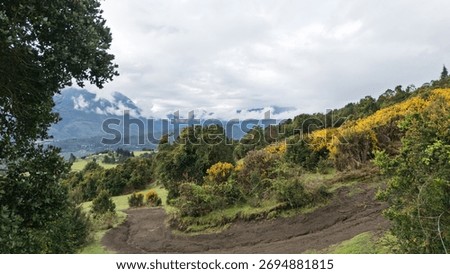 Low-Angle Drone View Through Valley to Fjord and Mountains with Dirt Road, Cochamó, Patagonia, Chile