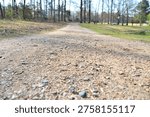 A low-angle, ground-level perspective looking down a rustic dirt and gravel walking path that stretches into the distance. The sharp focus on the pebbles and earth in the foreground creates a sense of depth, leading the eye toward a scenic park landscape featuring a row of tall trees, a grassy field, and a glimpse of a pond on the right. The bright, natural daylight and wide-open composition evoke feelings of peacefulness, hiking, and outdoor exploration in a suburban or rural park setting.