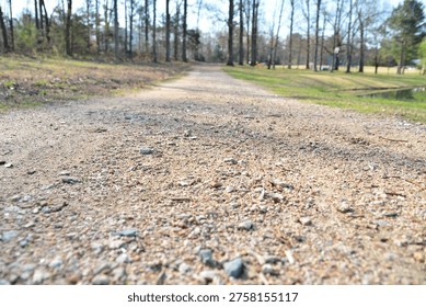 A low-angle, ground-level perspective looking down a rustic dirt and gravel walking path that stretches into the distance. The sharp focus on the pebbles and earth in the foreground creates a sense of depth, leading the eye toward a scenic park landscape featuring a row of tall trees, a grassy field, and a glimpse of a pond on the right. The bright, natural daylight and wide-open composition evoke feelings of peacefulness, hiking, and outdoor exploration in a suburban or rural park setting.