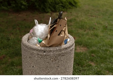 Lowangle overflowing bin with packaging and cup intimate perspective, sunlight and shadow play, textured concrete foreground and muted residential backdrop,