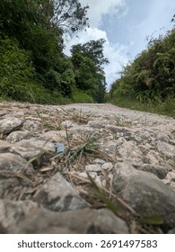 A low-angle perspective of a rugged, rocky path leading uphill through a lush green forest under a partly cloudy sky.