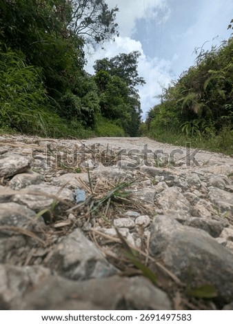 A low-angle perspective of a rugged, rocky path leading uphill through a lush green forest under a partly cloudy sky.