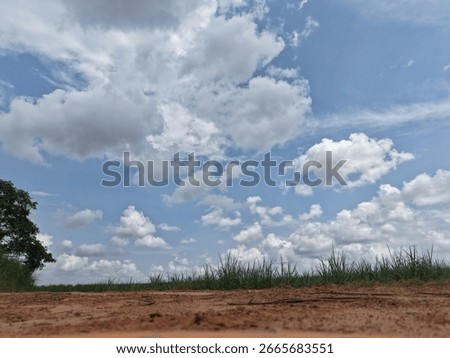 A low-angle, selective focus shot of a sandy rural path, with green grass and a solitary tree, contrasts the textured foreground with a vast blue sky filled with puffy clouds.
